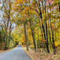 Exploring the Best of Northern Virginia's Scenic Drives