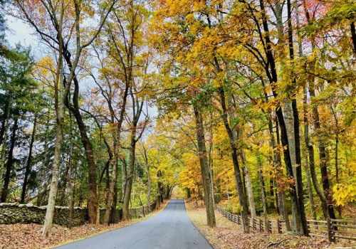 Exploring the Best of Northern Virginia's Scenic Drives