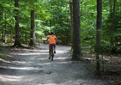 Exploring the Best Bike Trails in Northern Virginia